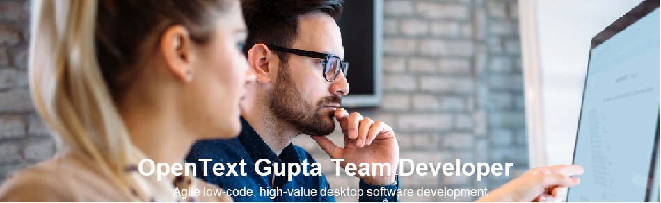 Team Developer